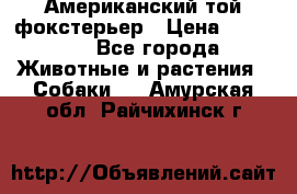 Американский той фокстерьер › Цена ­ 25 000 - Все города Животные и растения » Собаки   . Амурская обл.,Райчихинск г.